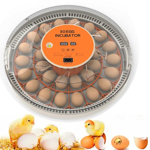 30x eggs incubator temperature - 30x,