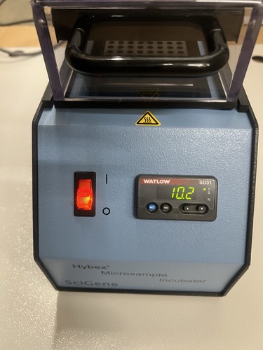 Scigene hybex microsample - scigene,