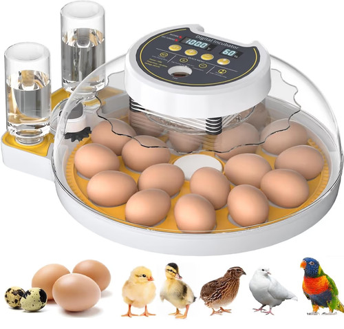 Triwind automatic egg - automatic,