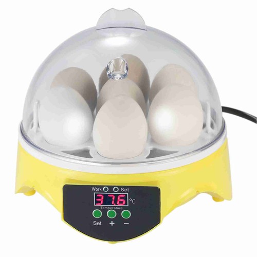 Eggs mini digital incubator - 7,