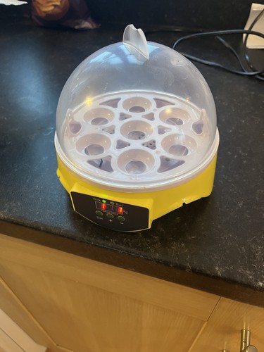 Egg incubator poultry - 7,