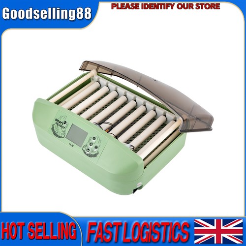 Smart mini egg - egg, incubator