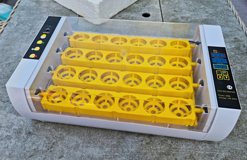 Eggs incubator temperature - eggs,