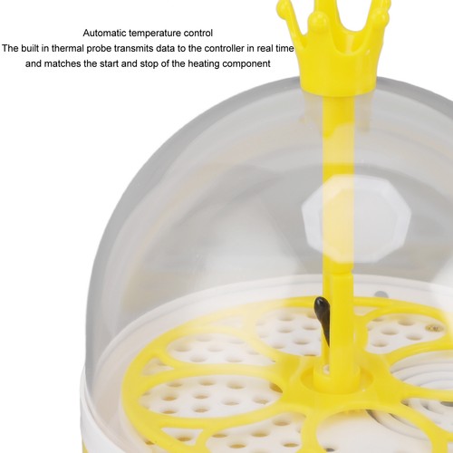 Mini egg incubator compact - 4,