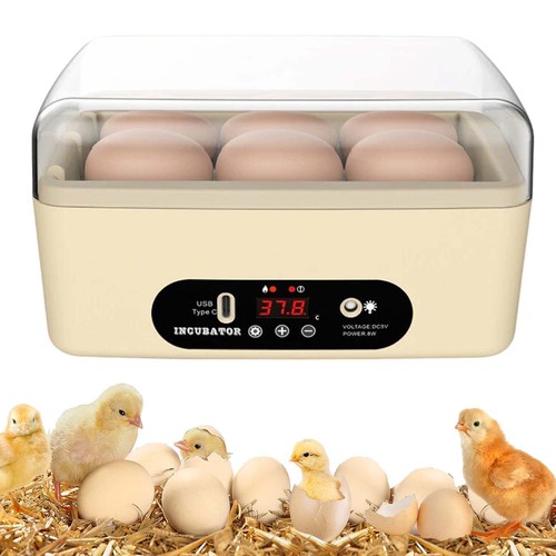 Egg incubator for - incubator, hatching
