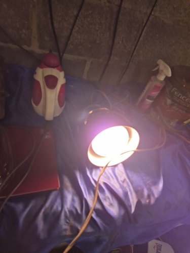 Vintage barn find philips - barn,