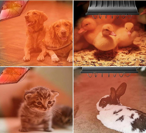 Moumoupurr 250w poultry heat - moumoupurr,