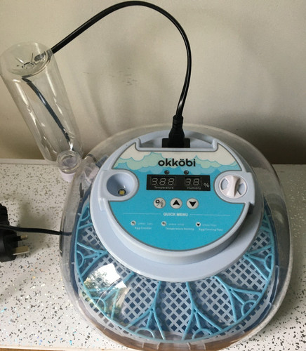 Okkobi egg incubator - egg, with