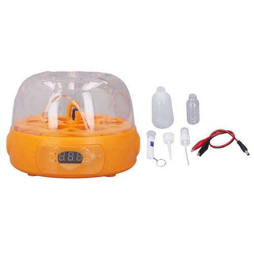 Eggs fully automatic egg - fully,