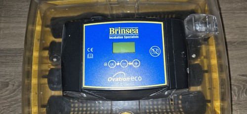 Brinsea ovation eco heat - brinsea,