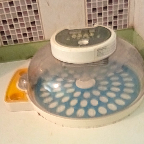 Egg poultry incubator