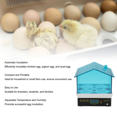 Slot small automatic egg - 4-slot,