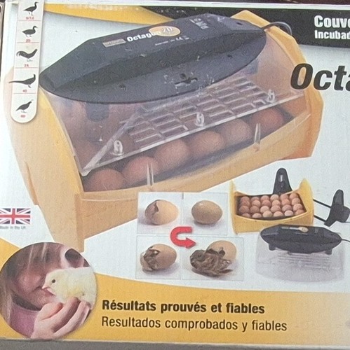Brinsea octagon eco egg - brinsea,