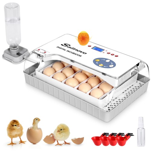 Sailnovo incubator for - , 20