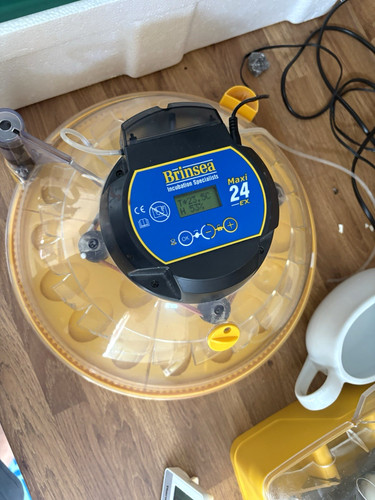 Brinsea maxi automatic - brinsea, 24