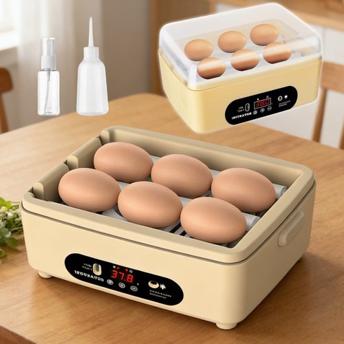 Egg incubator automatic - egg,