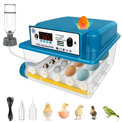 Coinceptus incubator for - coinceptus, 16