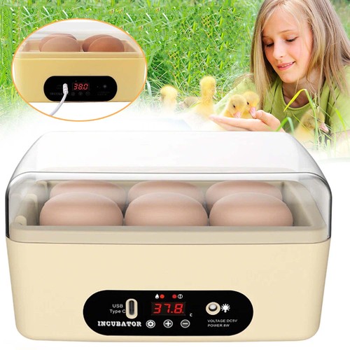 Egg incubator hatching - egg, incubator,