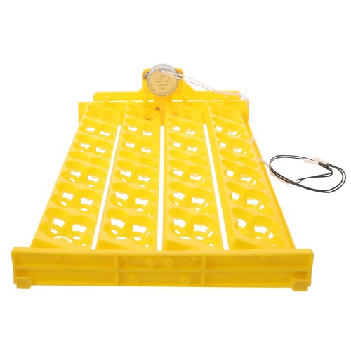 Reusable egg incubator - egg,