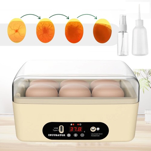 Chicken egg incubator poultry - egg,