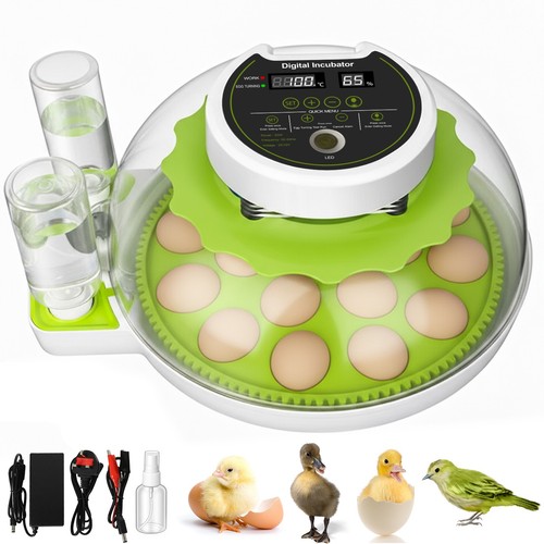 Egg incubator automatic - incubator,