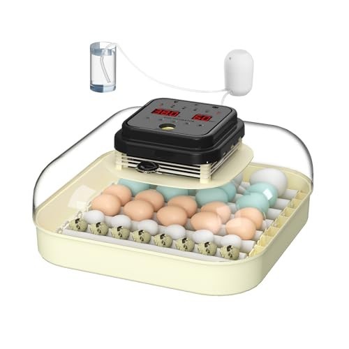 Coinceptus egg incubator - 35-egg,