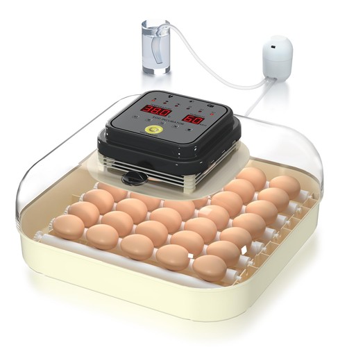 Hethya incubator for - , eggs