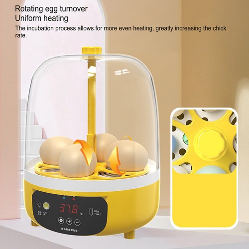 Mini chicken egg incubator - egg,