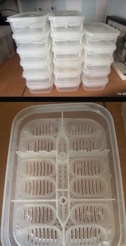 Reptile incubation boxes - incubation,