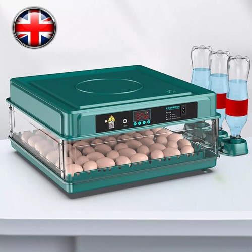Incubators for hatching eggs - incubators,