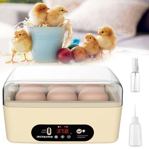 Egg incubator home - 6, hatching