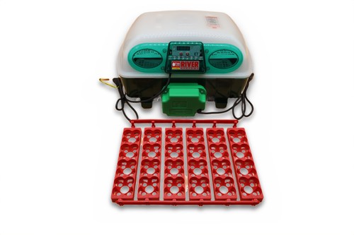 River et24 incubator with egg - river,