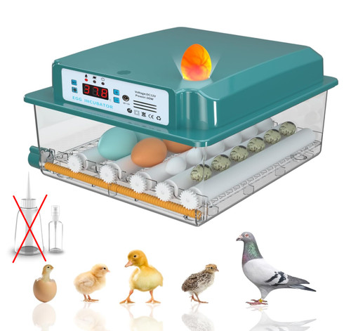 Incubator fully automatic - incubator,