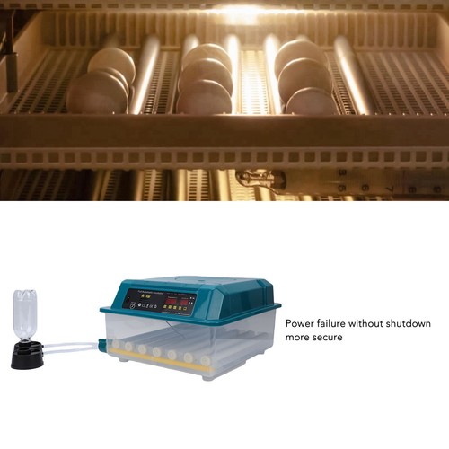 Eggs incubator with - 36,