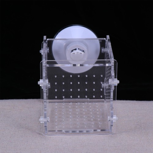 Fish acrylic incubator box - fish,