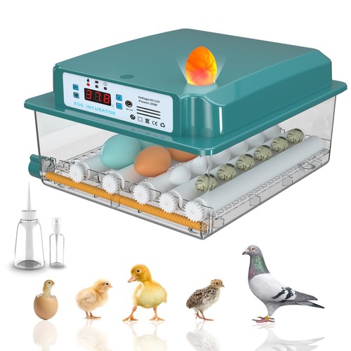 Fully automatic incubator - , for