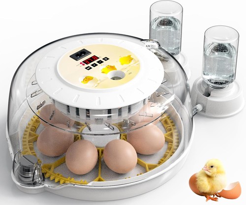 7840a incubator for eggs - incubator,