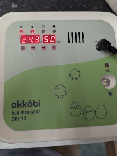 Okköbi obi egg incubator - okköbi, obi-12