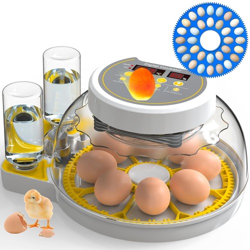 Egg incubator with automatic - egg,