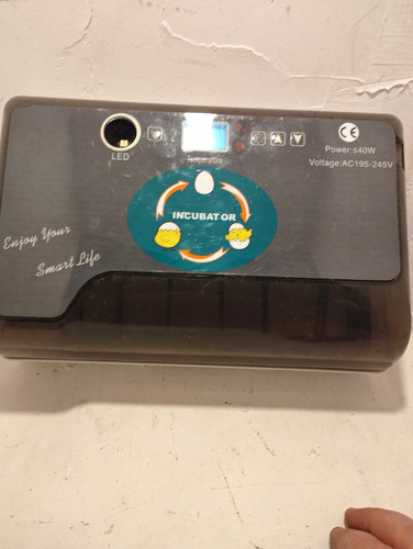 Automatic chicken egg - chicken,