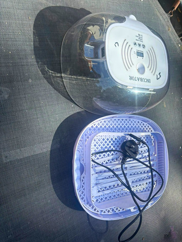 Automatic egg incubator - automatic,