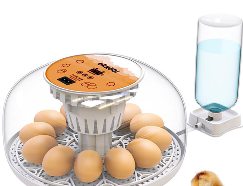 M12 egg incubator with - incubator,