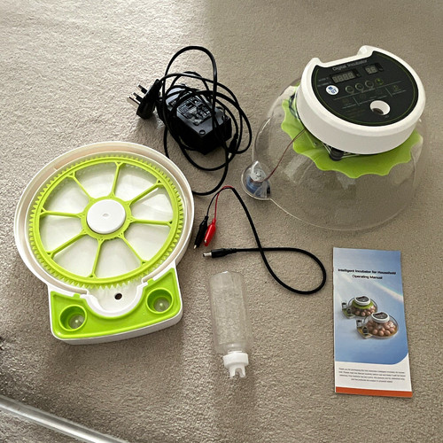 Digital egg incubator - egg, with