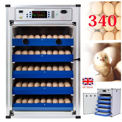 340 eggs automatic - eggs, digital