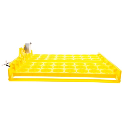 Reusable plastic egg - reusable,