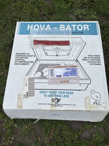 Hova bator 1632 chicken egg - chicken,