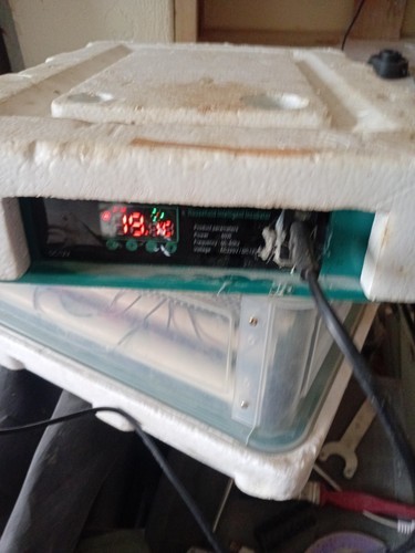 Automatic egg incubator - automatic,