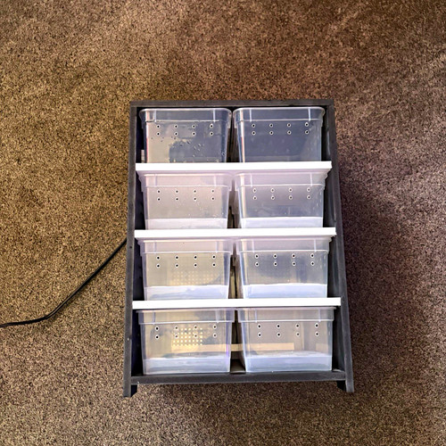 Egg incubator
