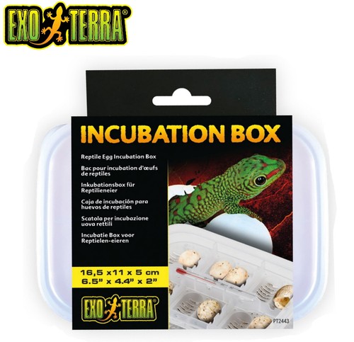 Exo terra incubation box - exo,