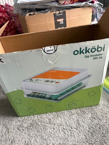 Okköbi obi egg - okköbi, incubator